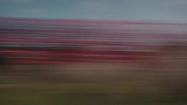 AI generated art on Mage