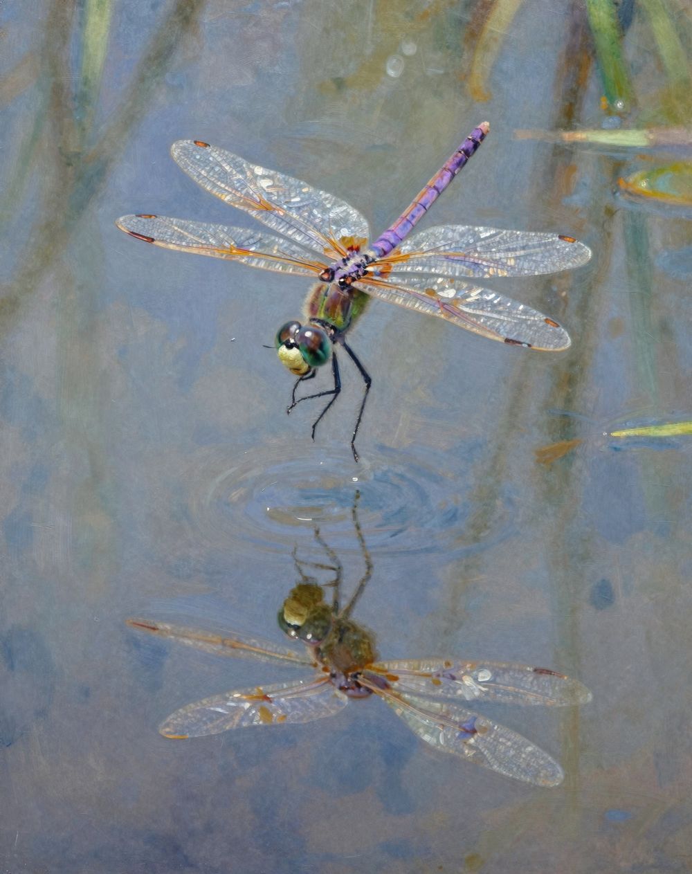 AI generated art on Mage